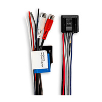 Garmin Fusion® Apollo Zone Amplifier Wiring Loom
