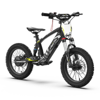 Ampd Bros EVO Racing 16" Electric Bike