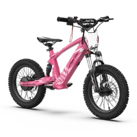 Ampd Bros EVO Racing 16" Electric Bike