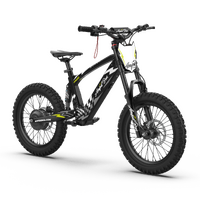 Ampd Bros EVO Racing 18" Electric Bike
