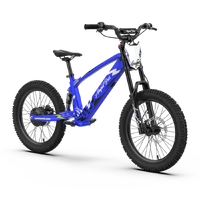 Ampd Bros EVO Racing 20" Electric Bike