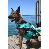 JetPilot Dog PFD